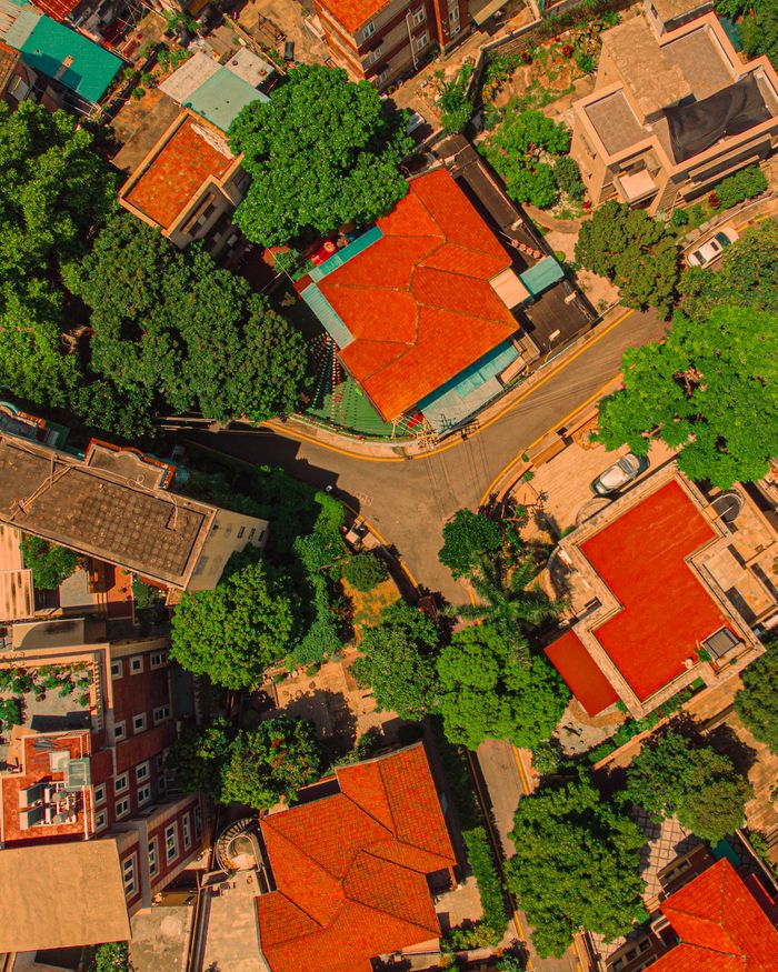 Stunning aerial view of a vibrant residential neighborhood surrounded by lush trees and vibrant rooftops.